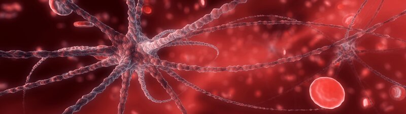 Neuron in Bloodstream — Red, Clinical, 3d Render