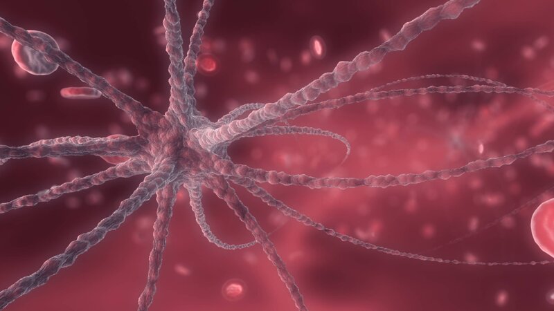 Neuron in Bloodstream — Red