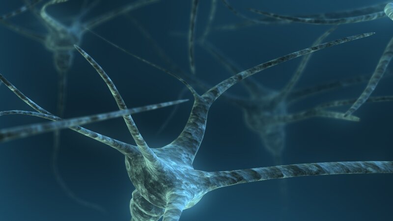 Neuron Network — Blue, Scientific, 3d Render, Axon, Dendrite, Cell Body