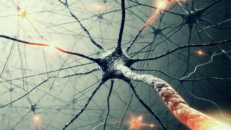 Neuron Network — Gray