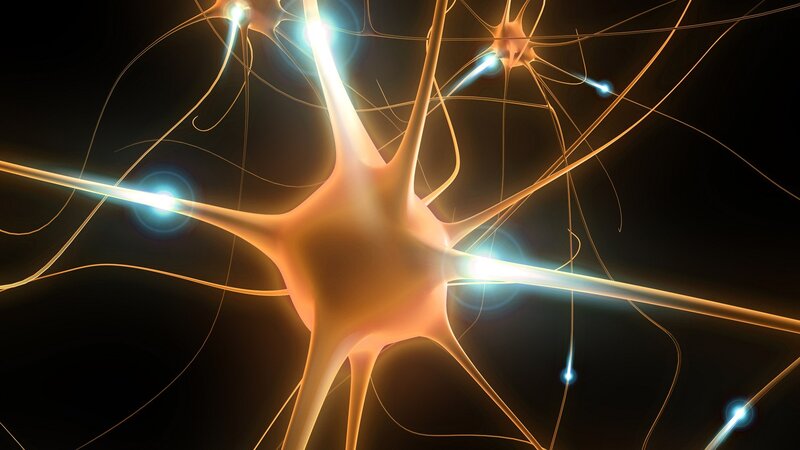 Neuron Network — Orange, Dramatic