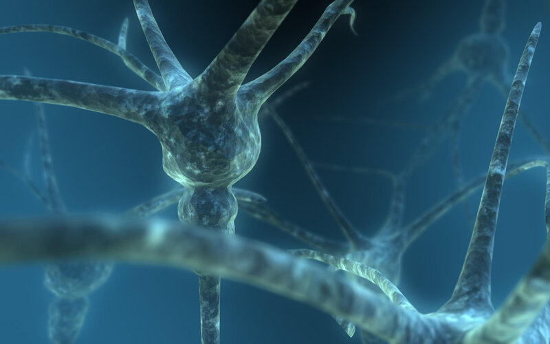 Neuron network visualization