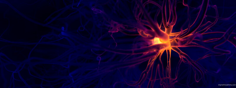 Neuron network visualization