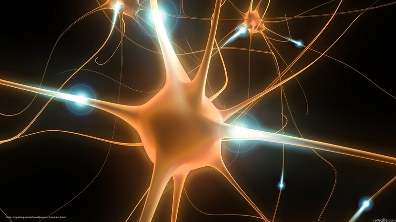 Neuron network visualization