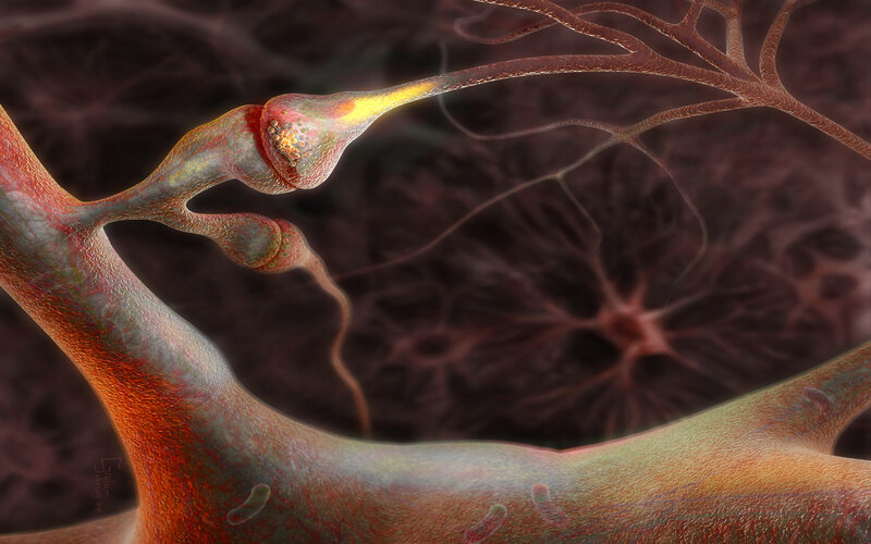 Neuron Synapse Connection — Red