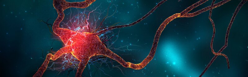 Neuron with Axons
