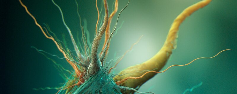 Neuron with Dendrites — Green