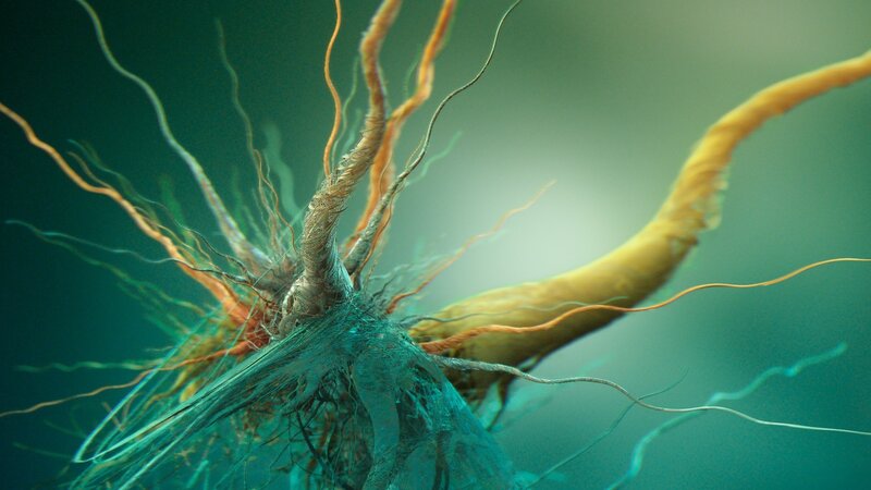 Neuron with Dendrites — Teal, Scientific