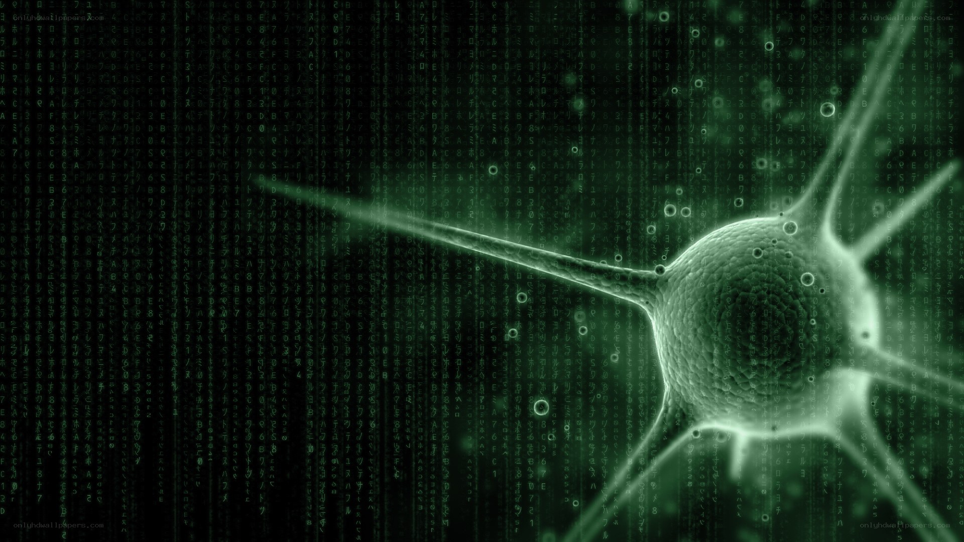 Neuron with digital matrix background