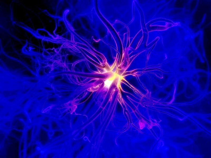 Neuron with Electrical Discharge