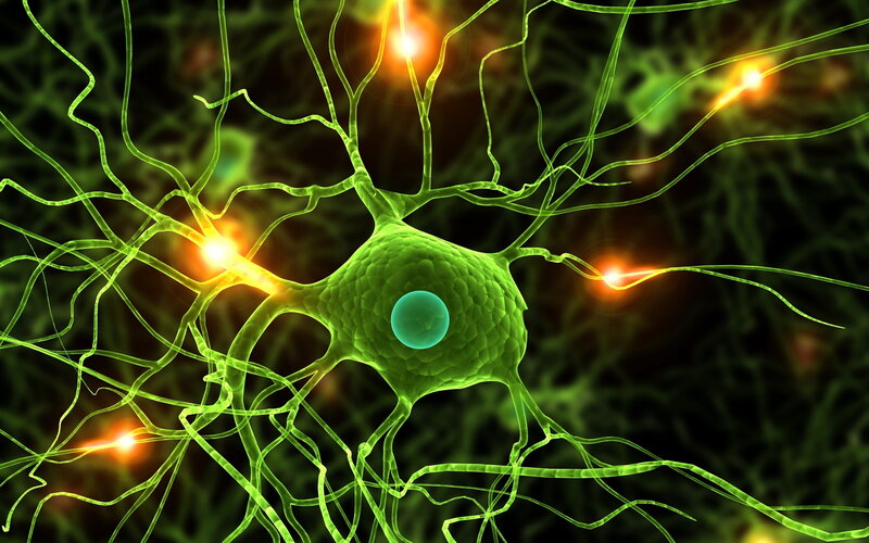 Neuron with electrical signals