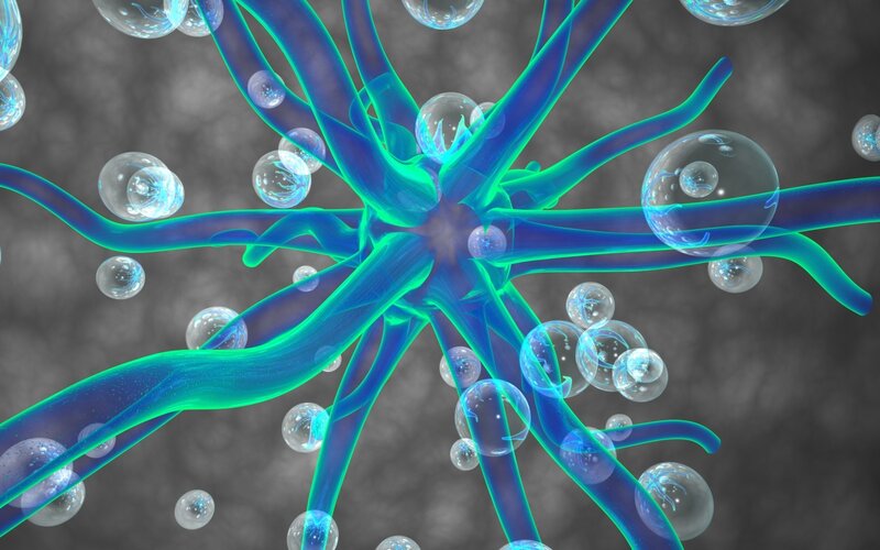 neuron with synaptic vesicles