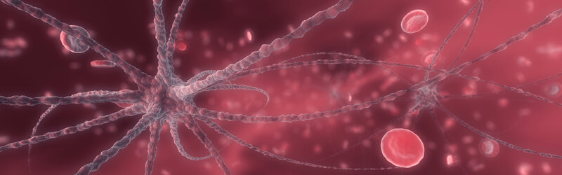 Neurons and blood cells in bloodstream