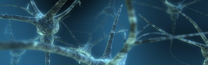 Neurons in a neural network