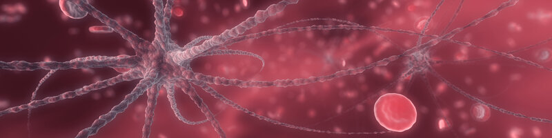 Neurons in blood stream