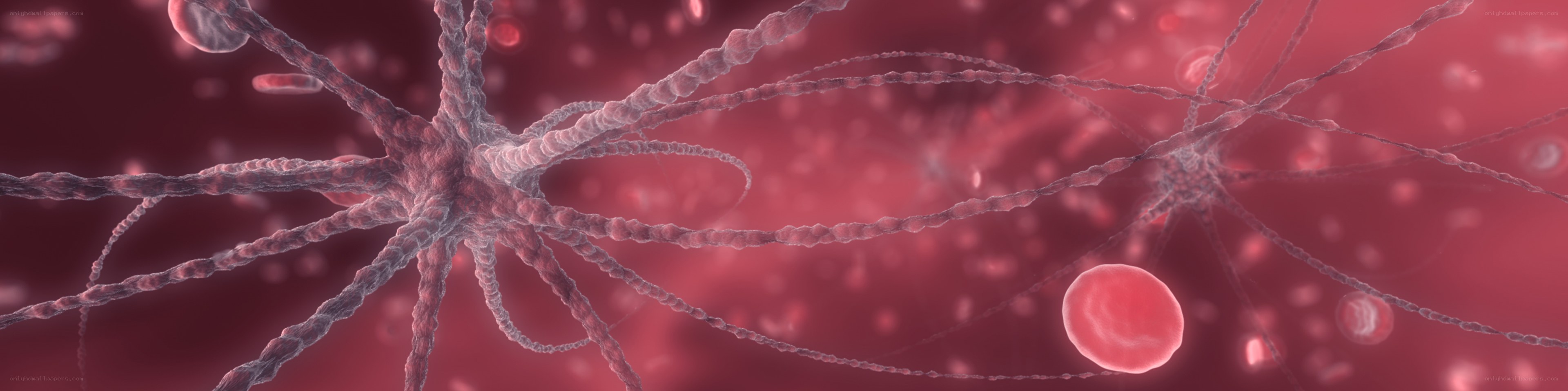 Neurons in blood stream