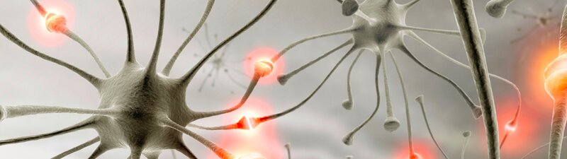Neurons Transmitting Signals