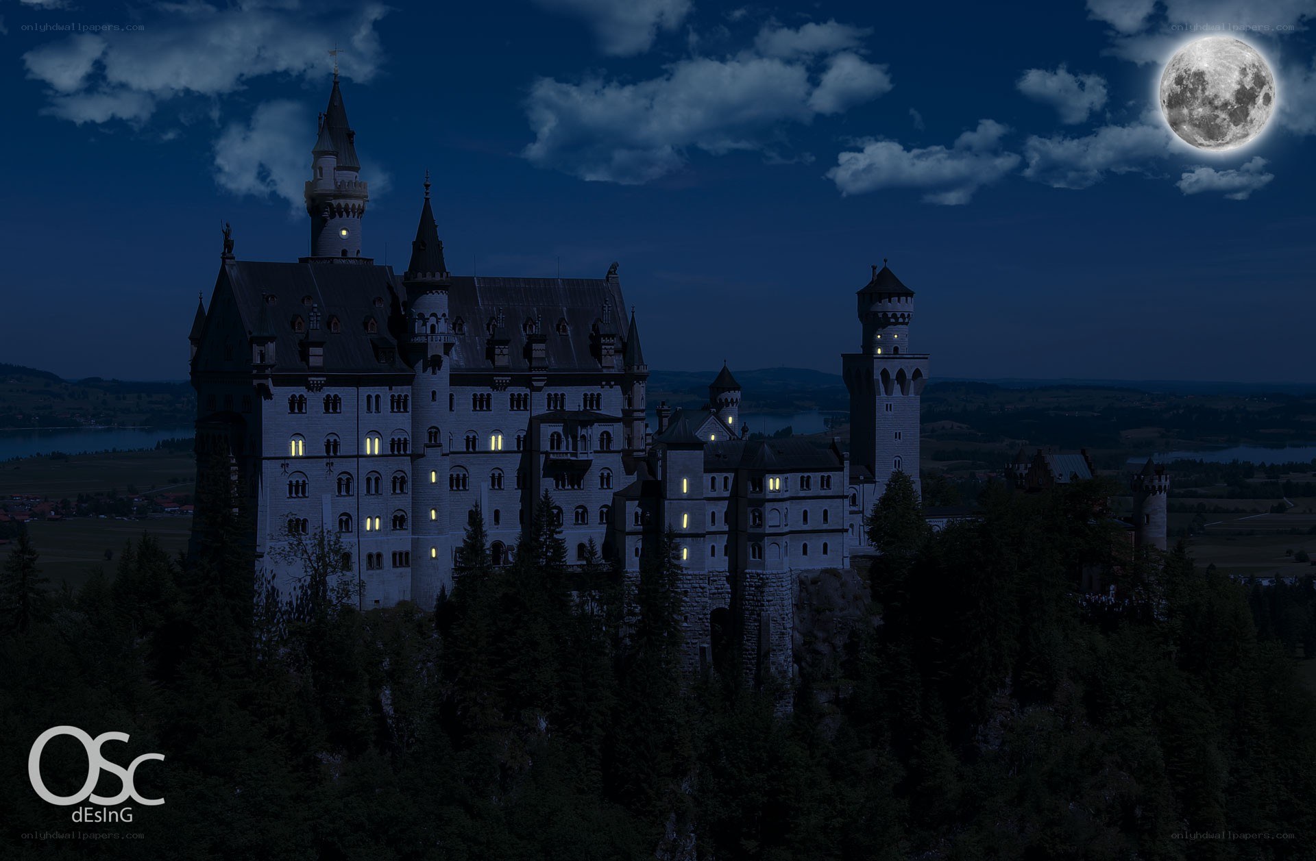 Neuschwanstein Castle at night