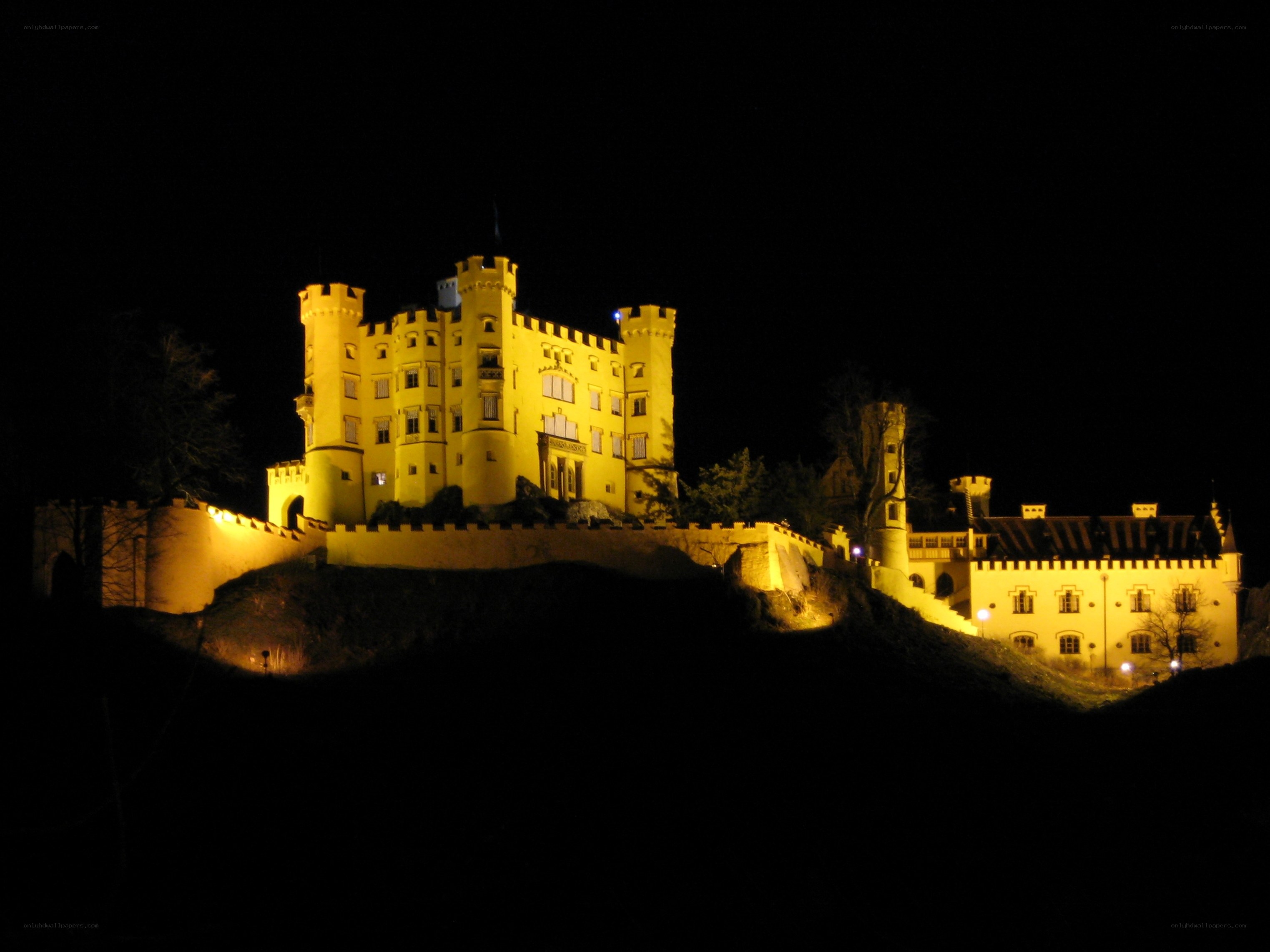 Neuschwanstein Castle at night