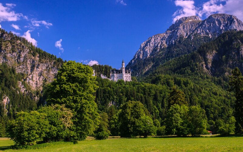 Neuschwanstein Castle — Green, Serene, Afternoon, Photograph, Mountains, Forest, Sky