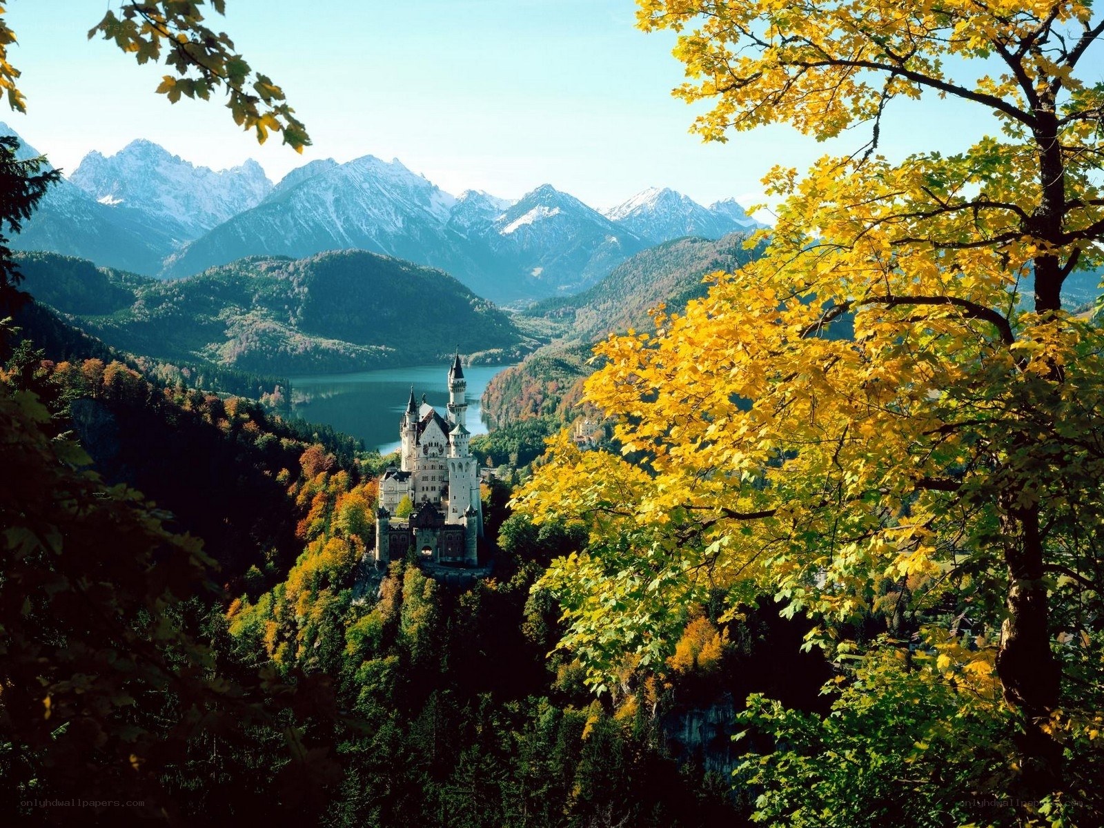 Neuschwanstein Castle in autumn
