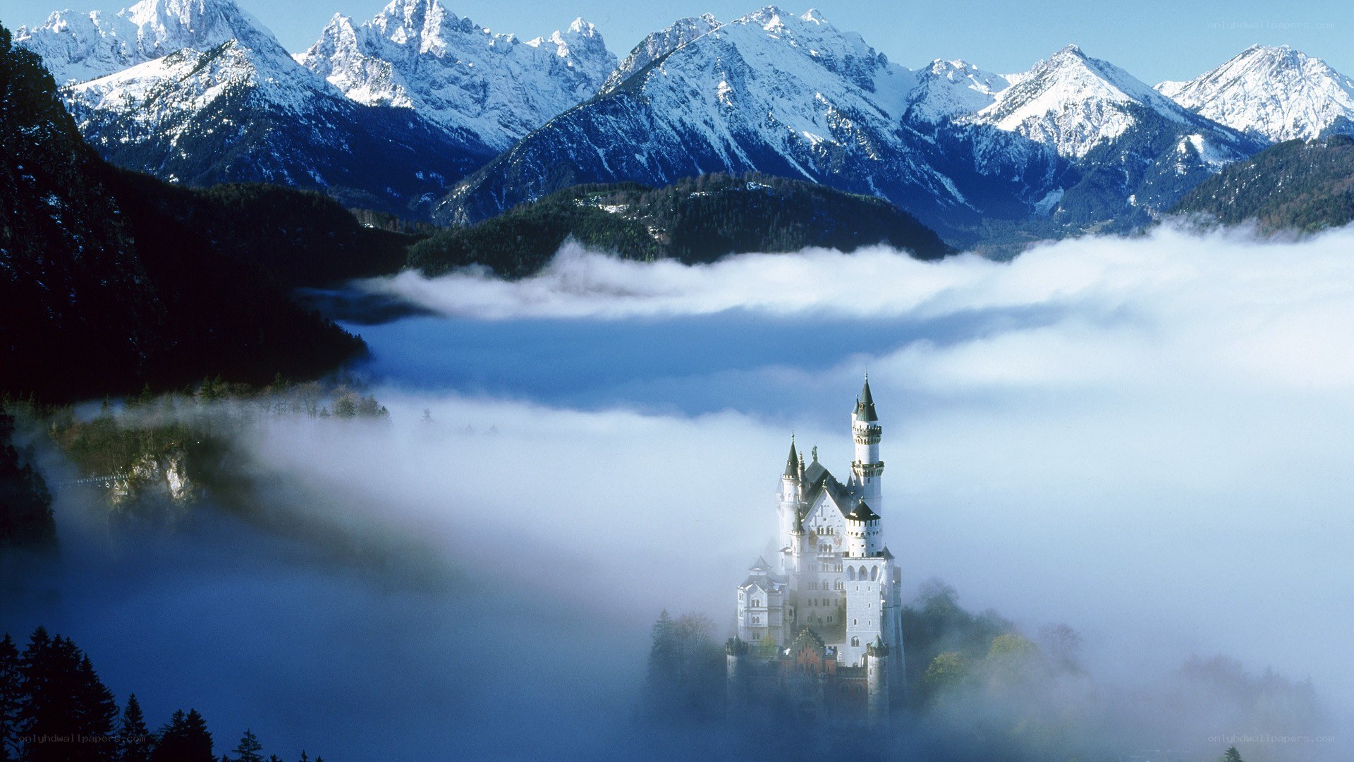 Neuschwanstein Castle in mist
