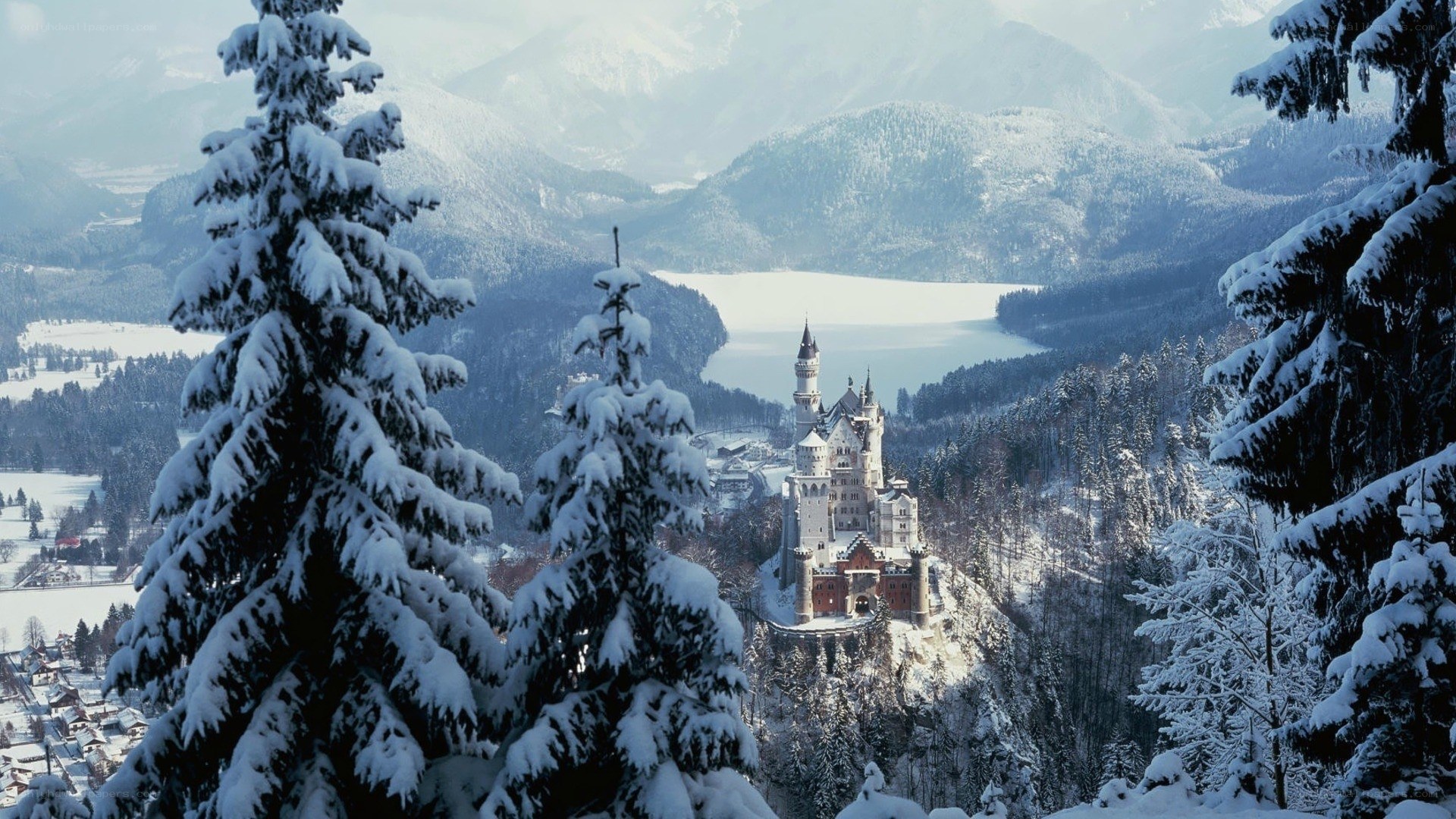 Neuschwanstein Castle in winter