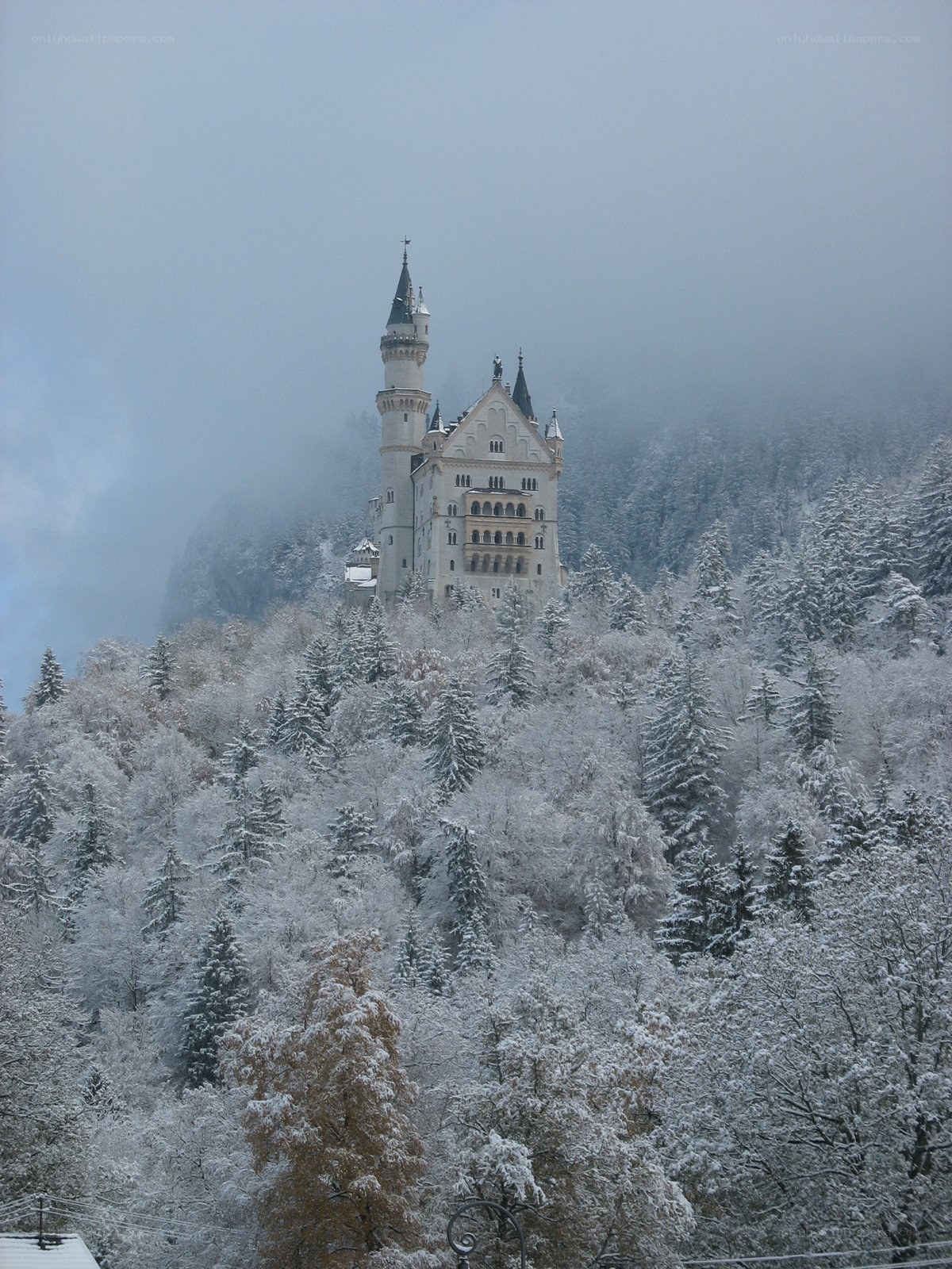 Neuschwanstein Castle in winter