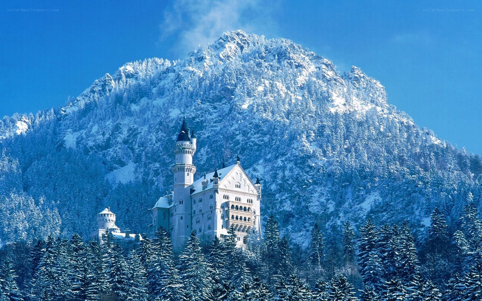 Neuschwanstein Castle in winter