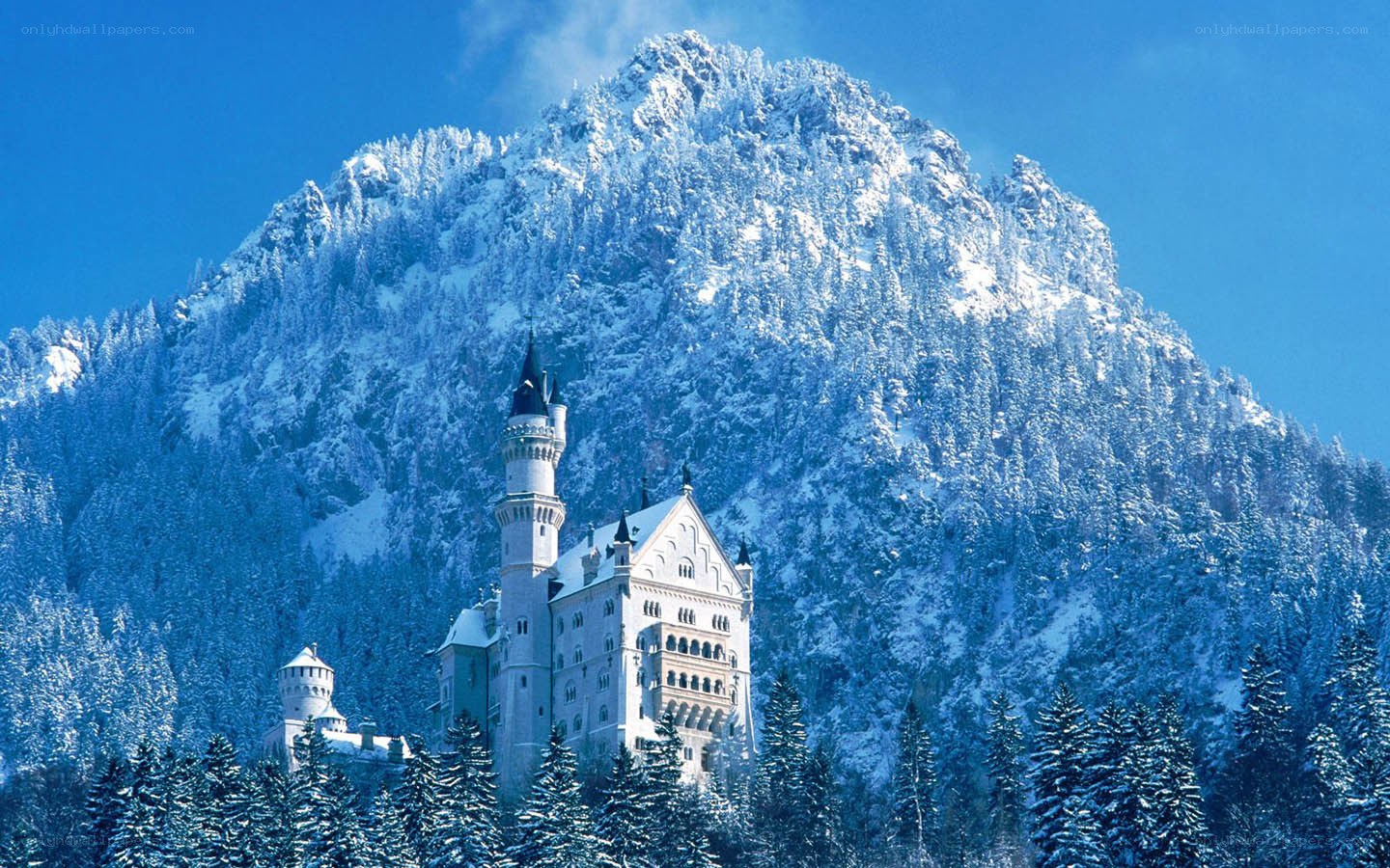 Neuschwanstein Castle in winter
