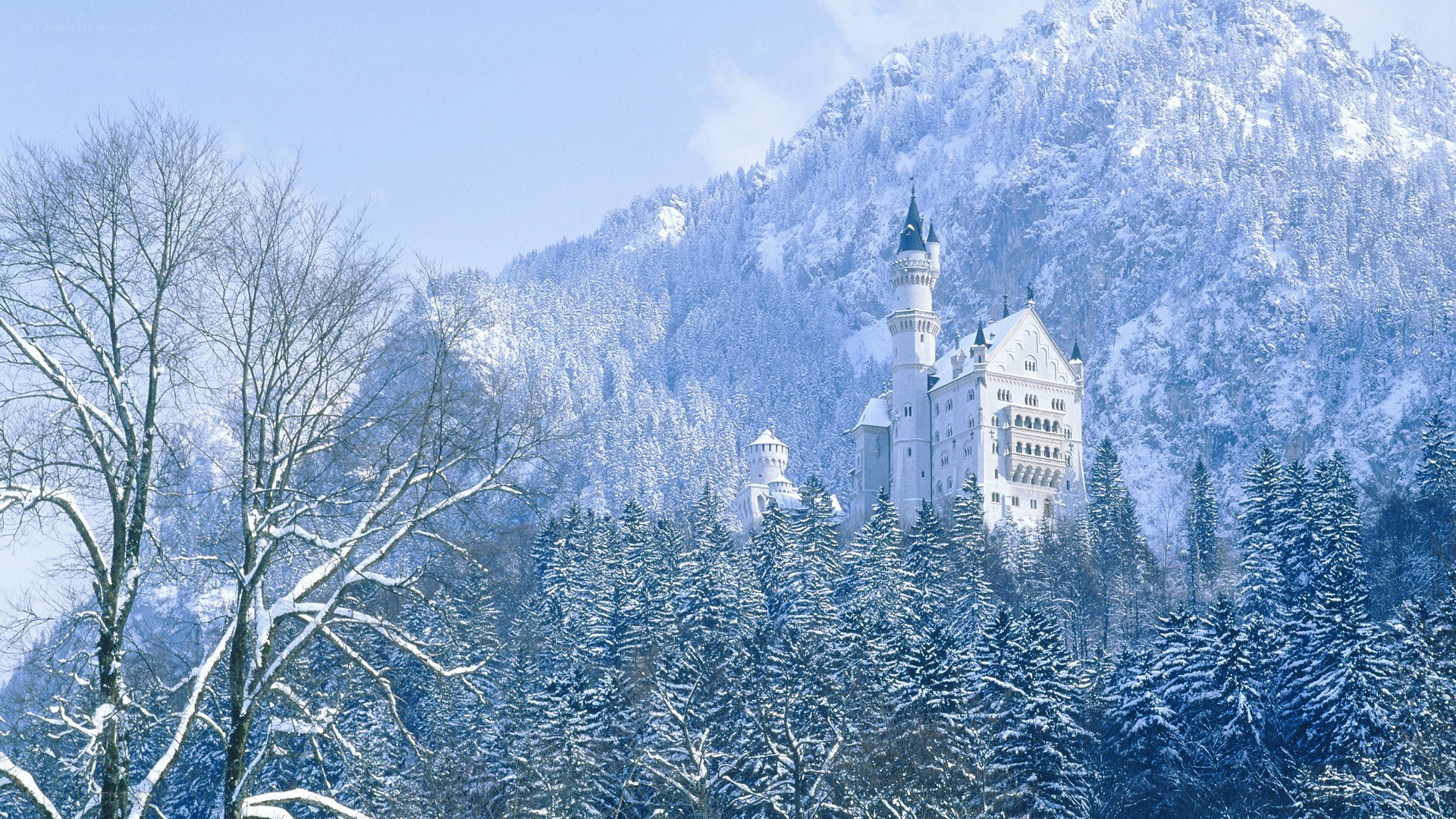 Neuschwanstein Castle in winter