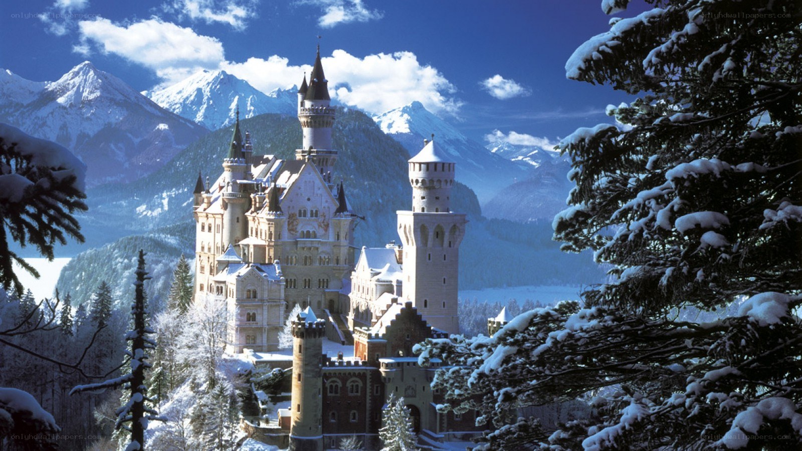 Neuschwanstein Castle in winter