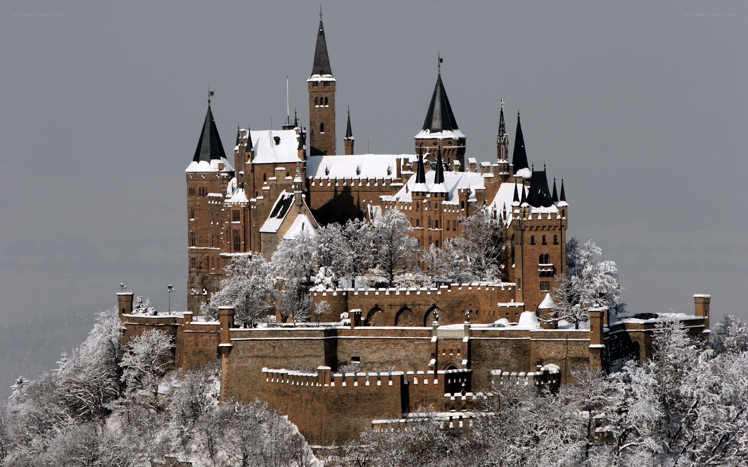 Neuschwanstein Castle in winter