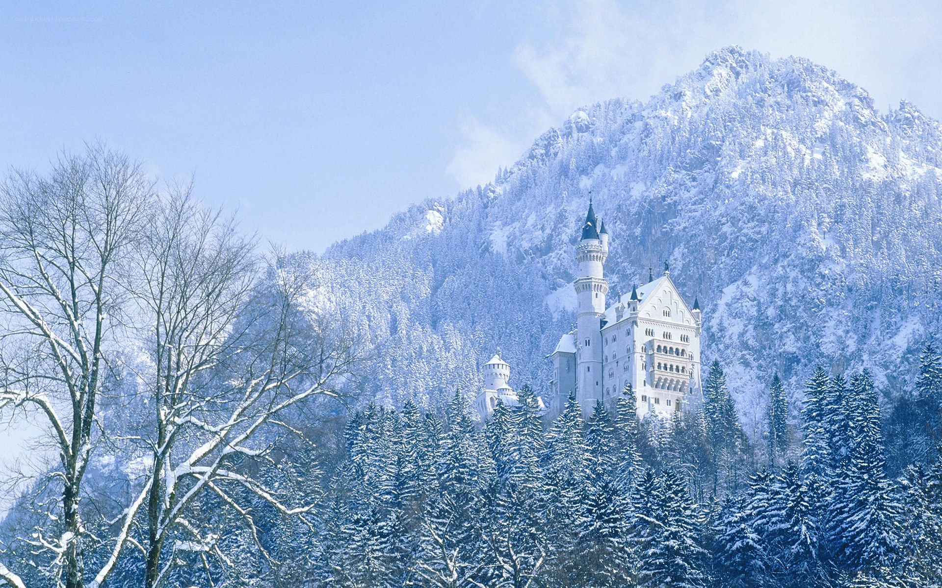 Neuschwanstein Castle in winter