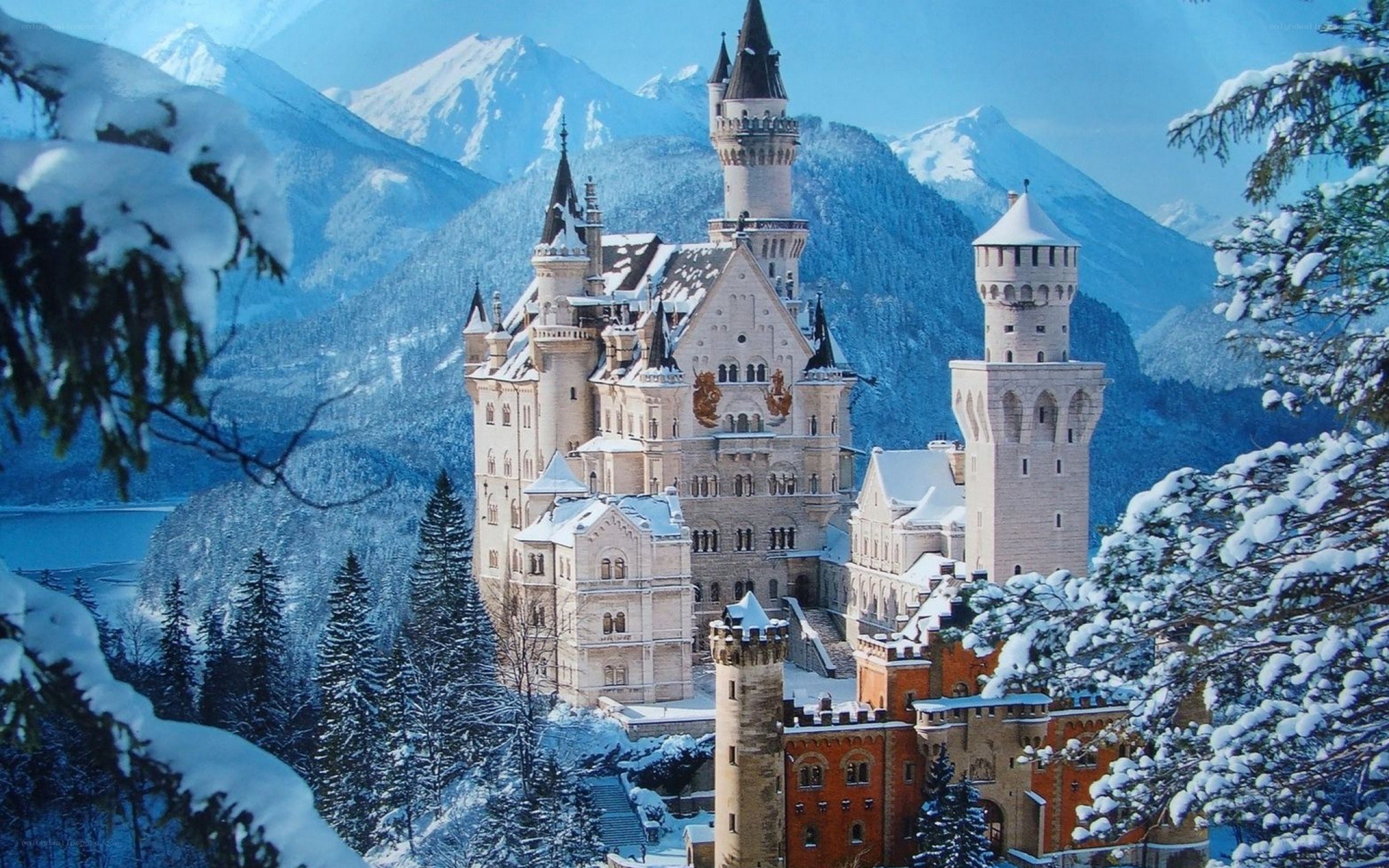 Neuschwanstein Castle in winter
