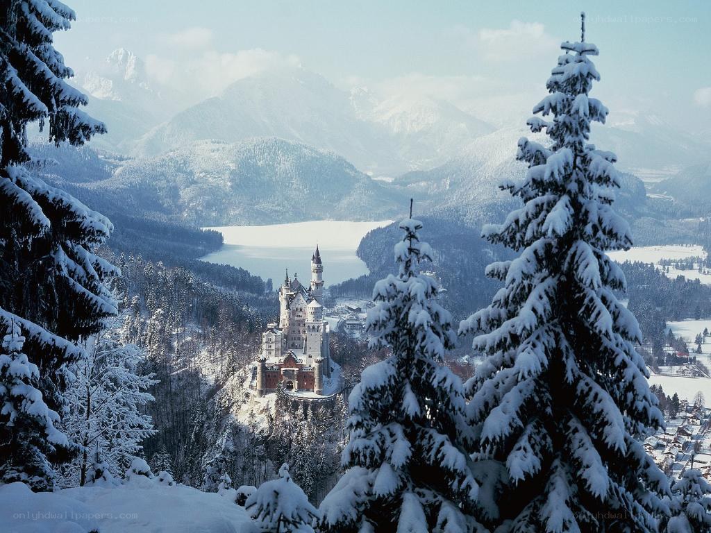 Neuschwanstein Castle in winter