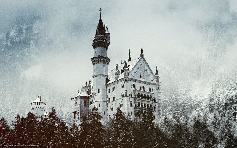 Neuschwanstein Castle — White, Dramatic, Winter, Photograph, Snow, Trees