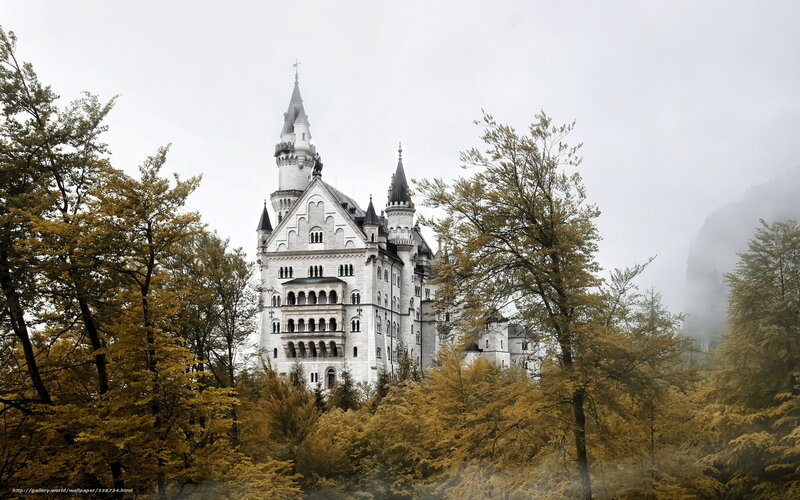 Neuschwanstein Castle — White, Misty, Autumn, Photograph, Trees, Fog