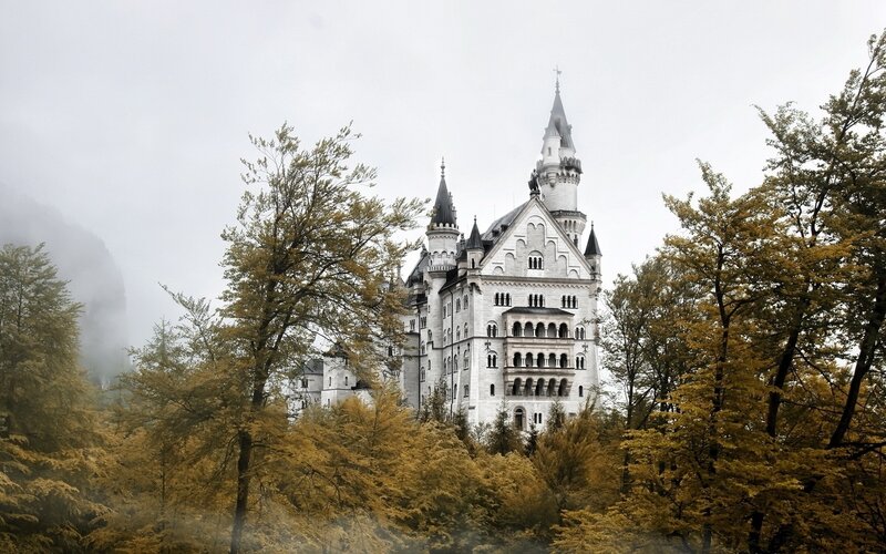 Neuschwanstein Castle — White, Misty, Autumn, Photograph, Trees