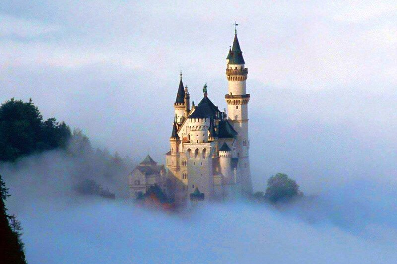 Neuschwanstein Castle — White, Misty, Morning, Photograph, Fog, Trees