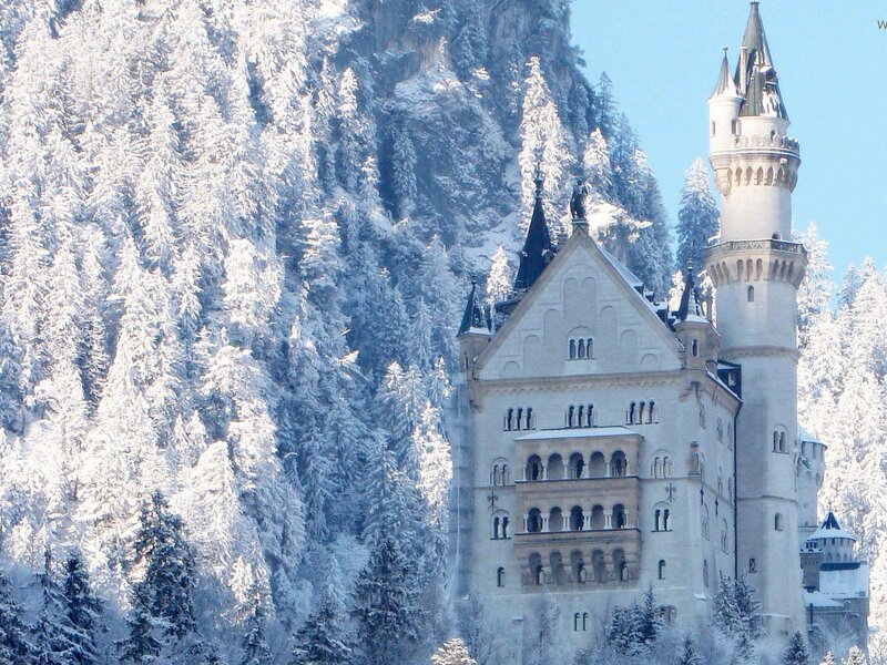 Neuschwanstein Castle — White, Serene, Winter, Photograph, Snow-covered Trees, Mountain, Towers