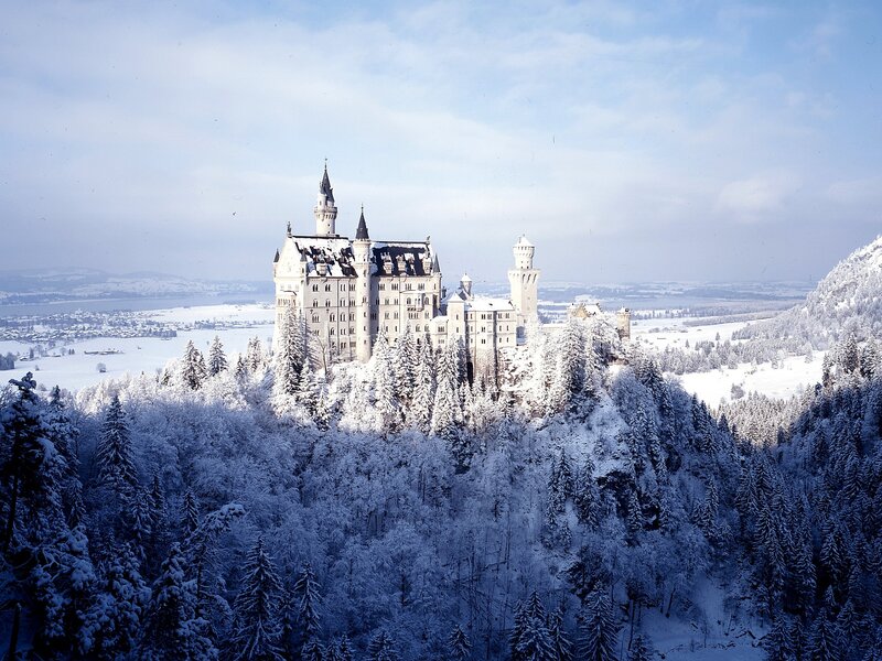 Neuschwanstein Castle — White, Serene, Winter, Photograph, Snow, Forest