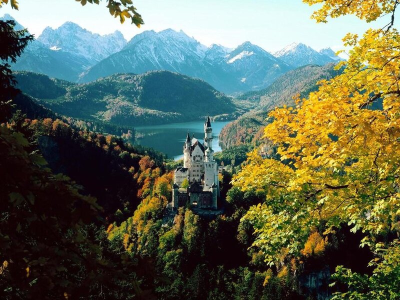 Neuschwanstein Castle — Yellow, Serene, Autumn, Photograph