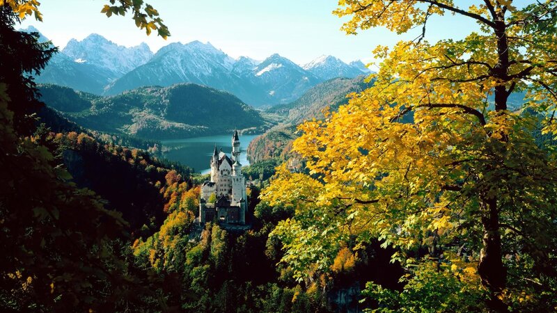 Neuschwanstein Castle — Yellow, Serene