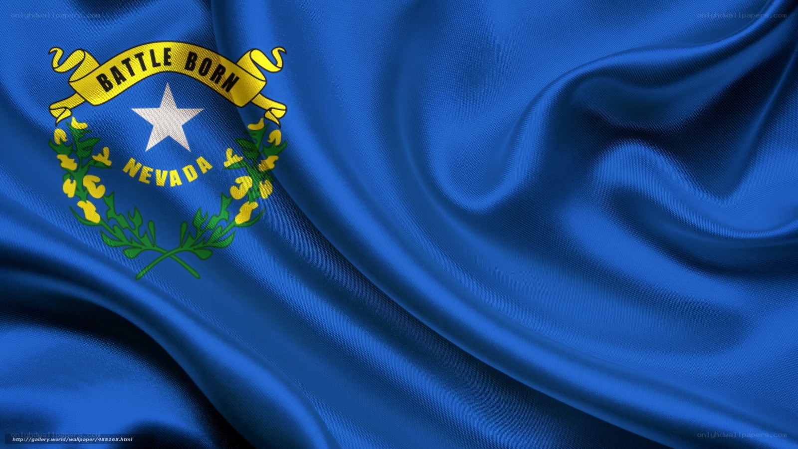 Nevada state flag waving