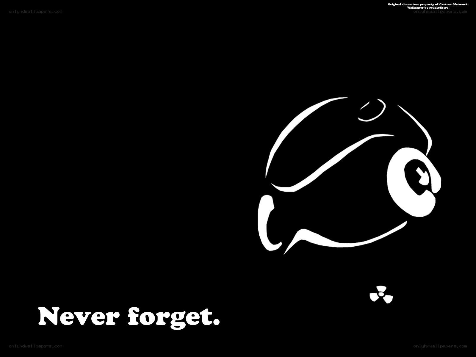 Never forget wallpaper