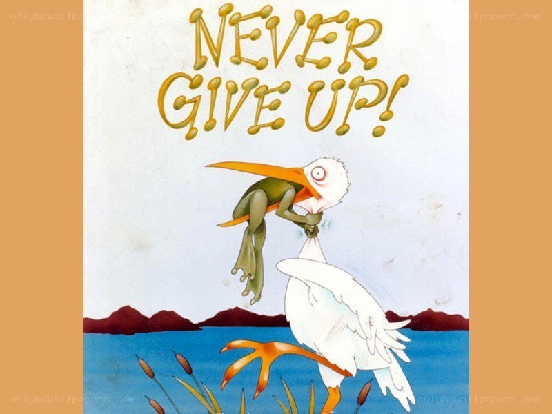 Never Give Up book cover