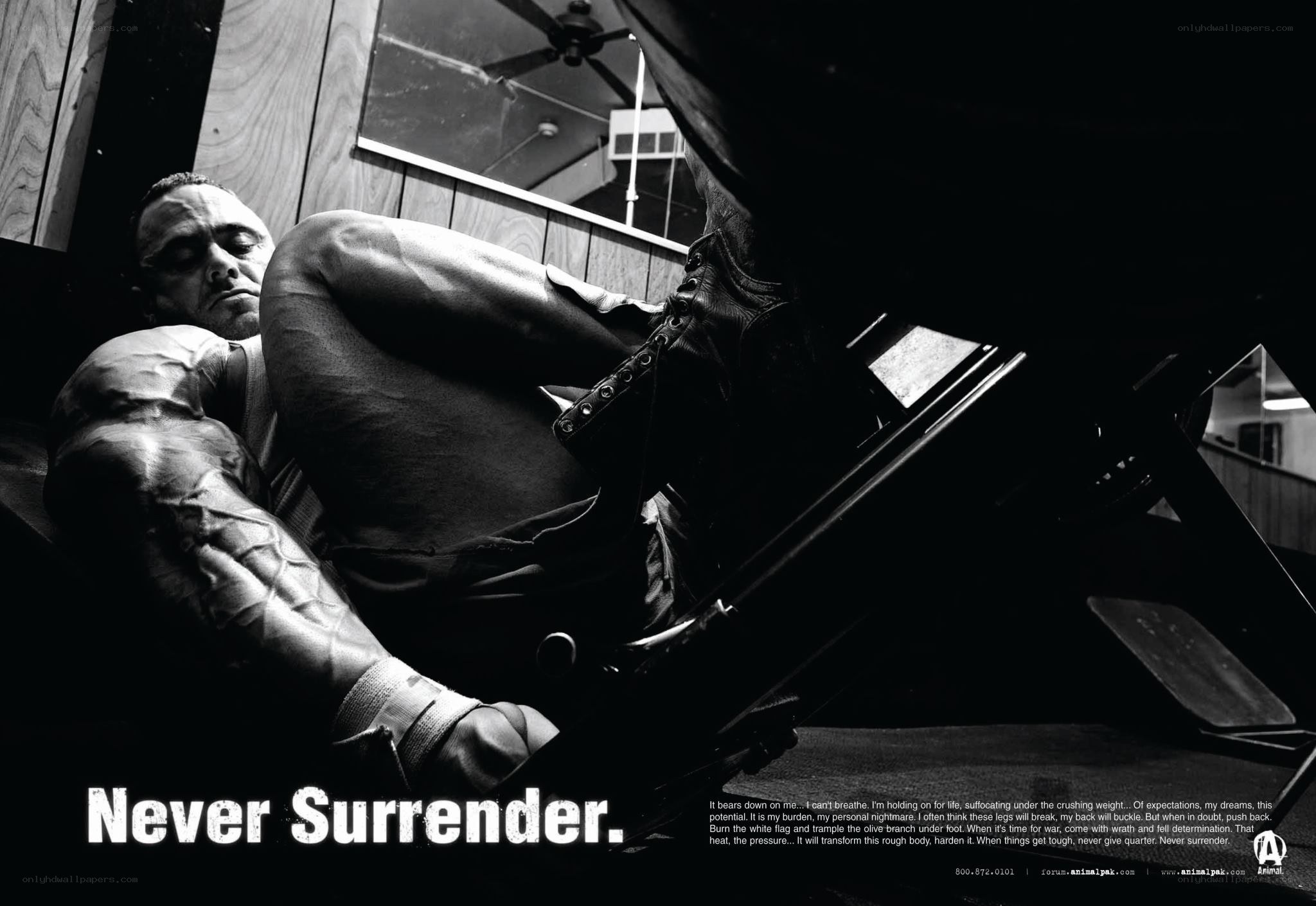 Never Surrender fitness ad