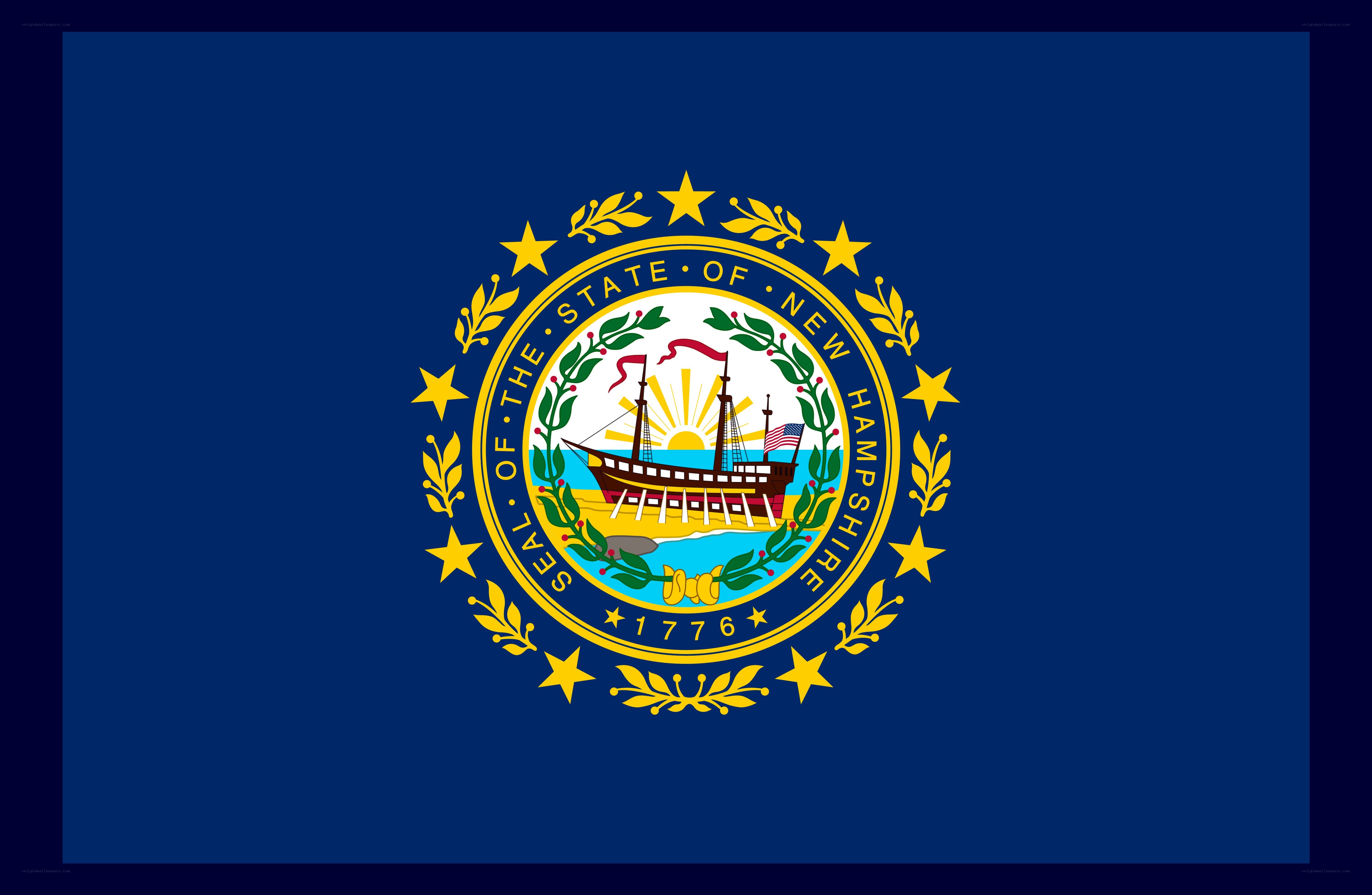 New Hampshire state flag