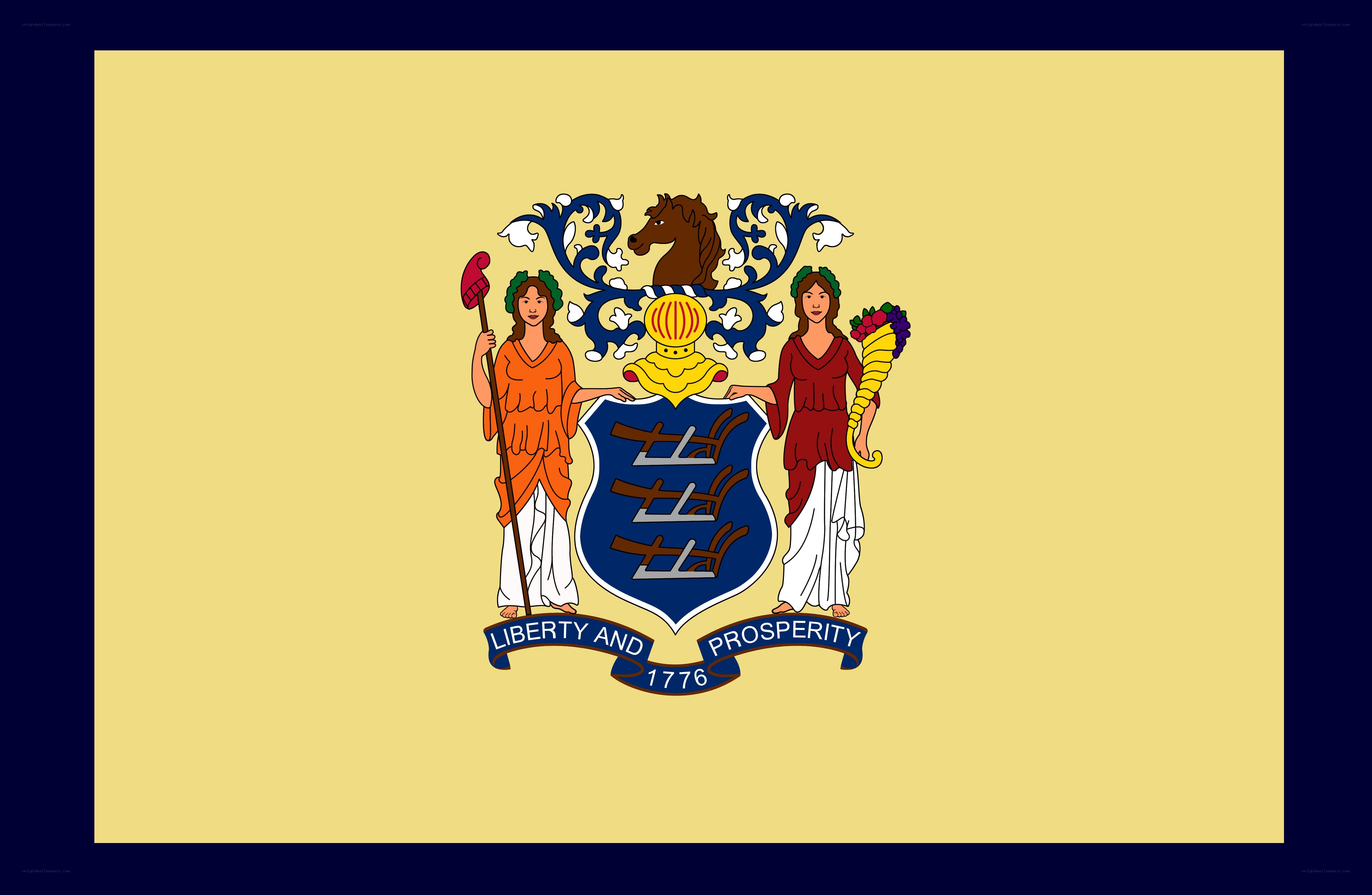 New Jersey state flag